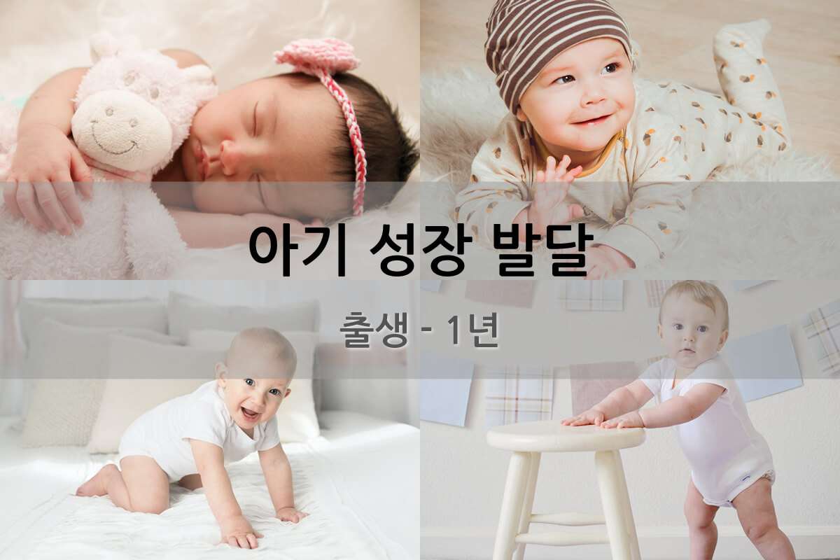 아기성장발달 출생에서 1년까지 아기발달 과정 - 두아이파파